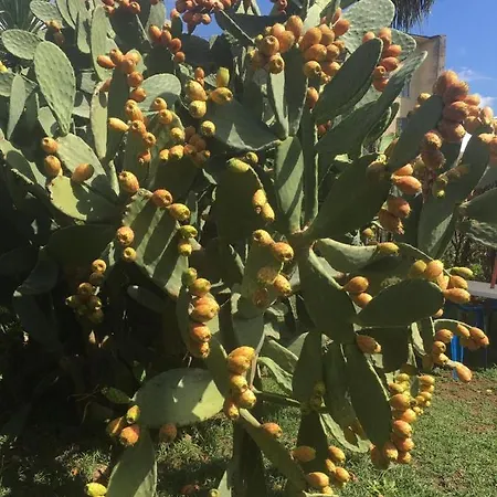 بيت للعطل Residenza Sud - Con Giardino