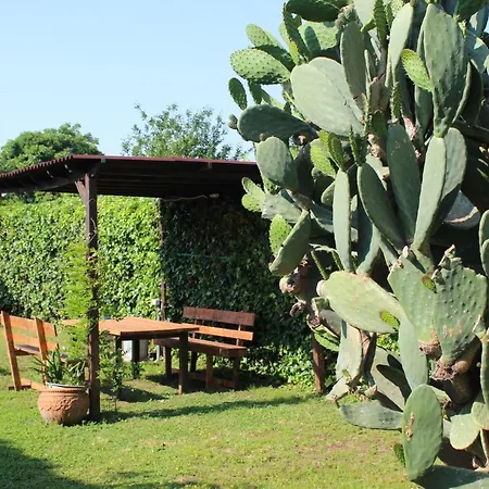Residenza Sud - Con Giardino